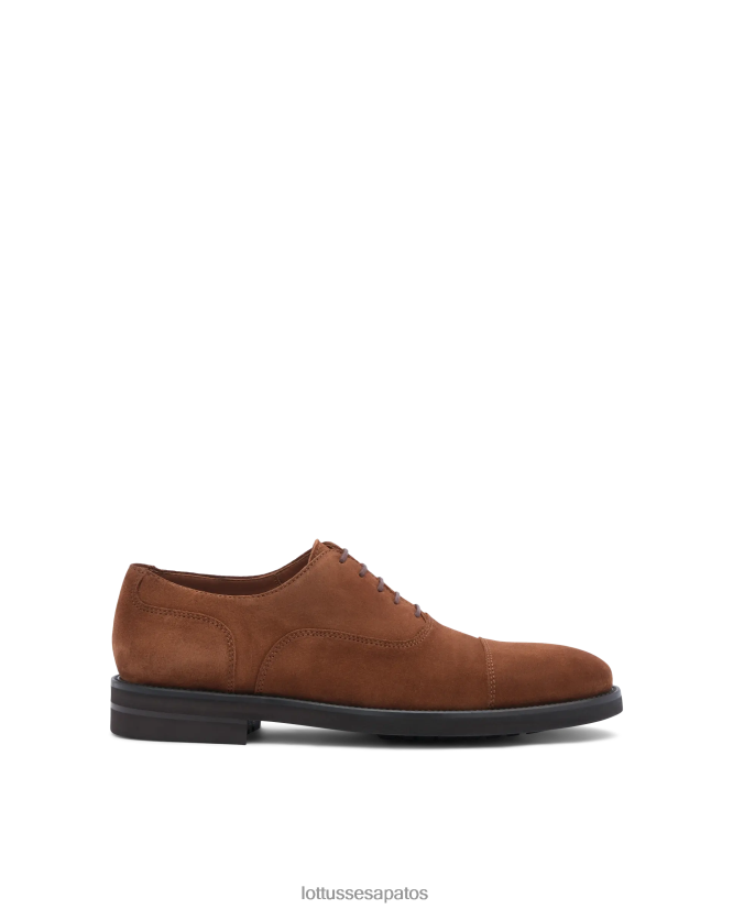 Lottusse homens oxfords de camurça de bezerro holborn 8TX8R4144 calçados marrom